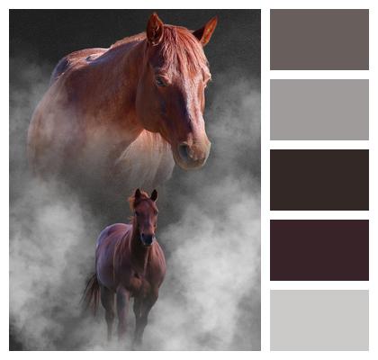 Paint Horse Collage Horse Image